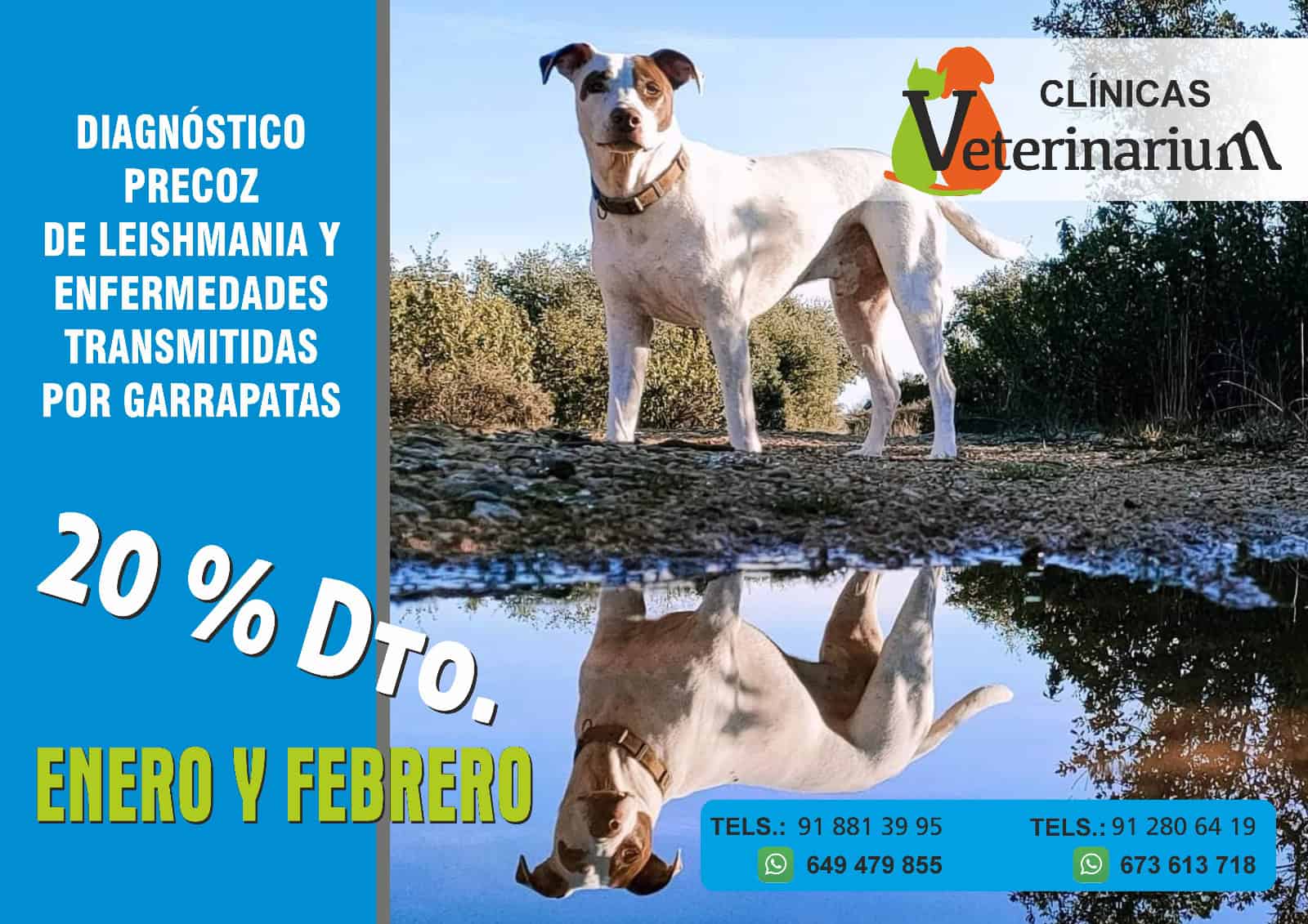 Diagnóstico precoz de Leishmania y enfermedades por garrapatas